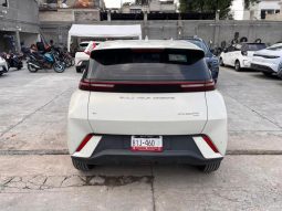 BYD DOLPHIN MINI PLUS EV 2025 – SERIE LGXCE4CC5S0065458 full