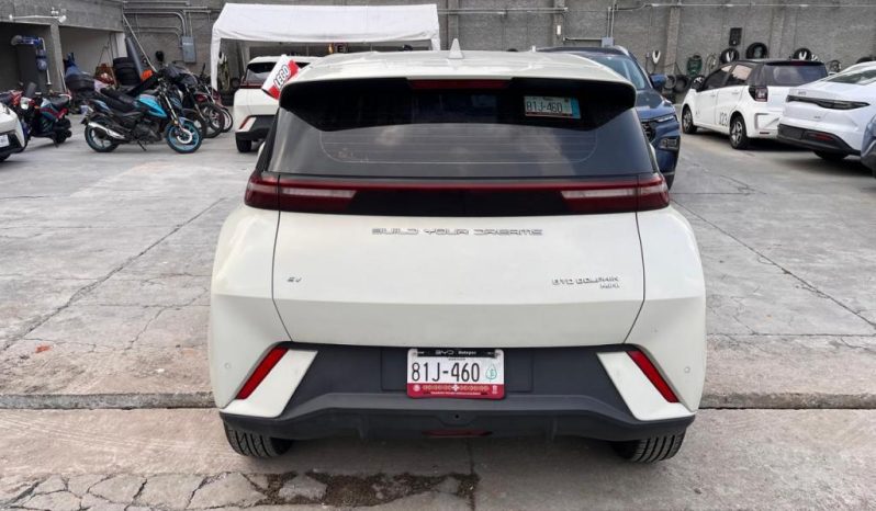 BYD DOLPHIN MINI PLUS EV 2025 – SERIE LGXCE4CC5S0065458 full