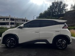 BYD DOLPHIN MINI PLUS EV 2025 – SERIE LGXCE4CC7S0024975 full