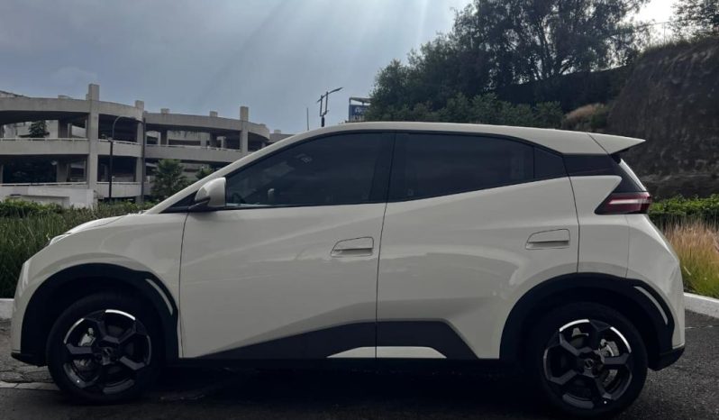 BYD DOLPHIN MINI PLUS EV 2025 – SERIE LGXCE4CC7S0024975 full