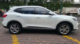 MG HS 2.0T TROPHY DCT 2021 – SERIE LSJA24W98MN074463 full
