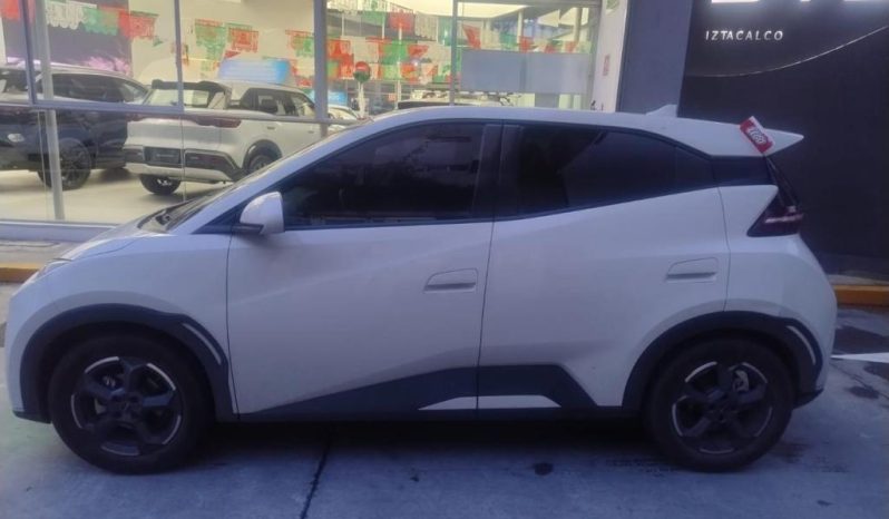 BYD DOLPHIN MINI PLUS EV 2025 – SERIE LGXCE4CC5S0065458 full