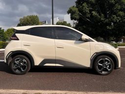BYD DOLPHIN MINI PLUS EV 2025 – SERIE LGXCE4CC7S0024975 full