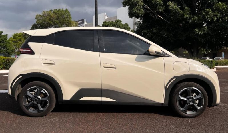 BYD DOLPHIN MINI PLUS EV 2025 – SERIE LGXCE4CC7S0024975 full