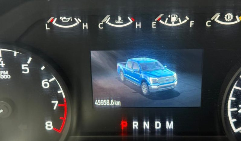FORD F150 XL CREW CAB TA 2023 – SERIE 1FTEW1CB6PKD71332 full