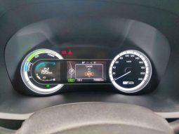 KIA NIRO EX HIBRIDO TA 2019 – SERIE KNDCC3LC9KS301206 full